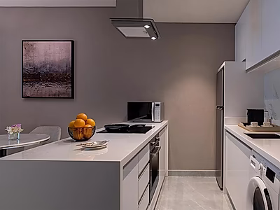 ELEGANT 1 BEDROOM HOTEL RESIDENCE FOR RENT