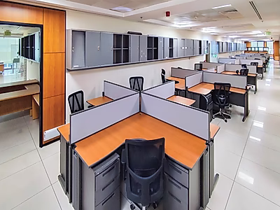 Luxury Commercial Building for Rent