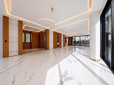 BRAND NEW | 6+MAID/DRIVER | COMPOUND VILLA | PEARL