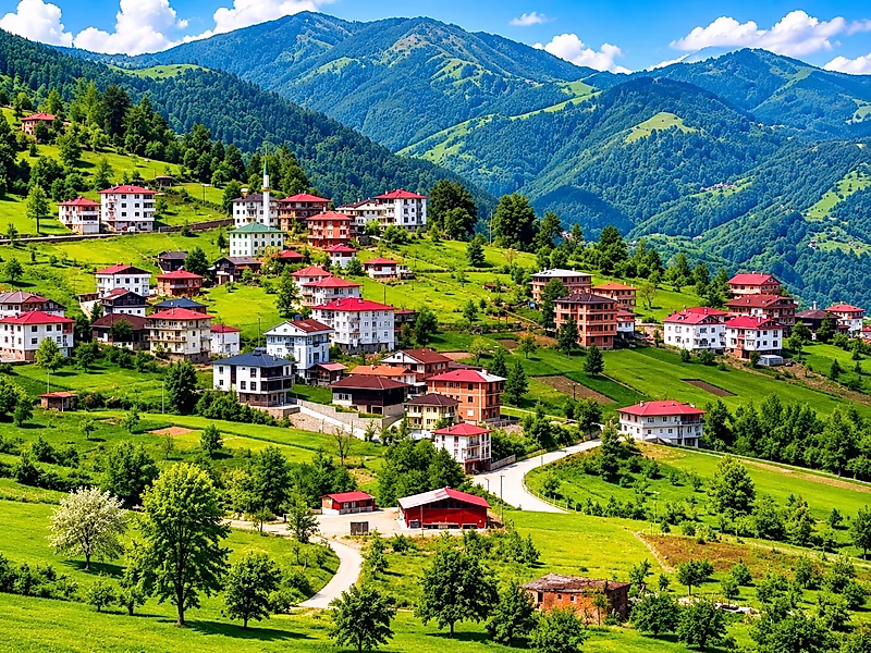 Own a Piece of Trabzon's Tea Gardens in Turkiye – Create Your Hidden Paradise with Luxury Bungalows - Photo 5