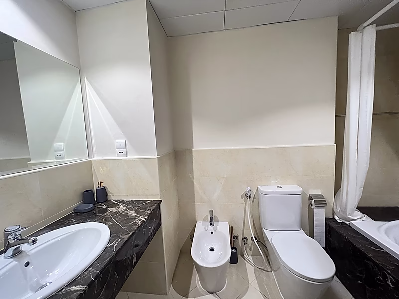 1 bedroom plus office with high ROI - Photo 9
