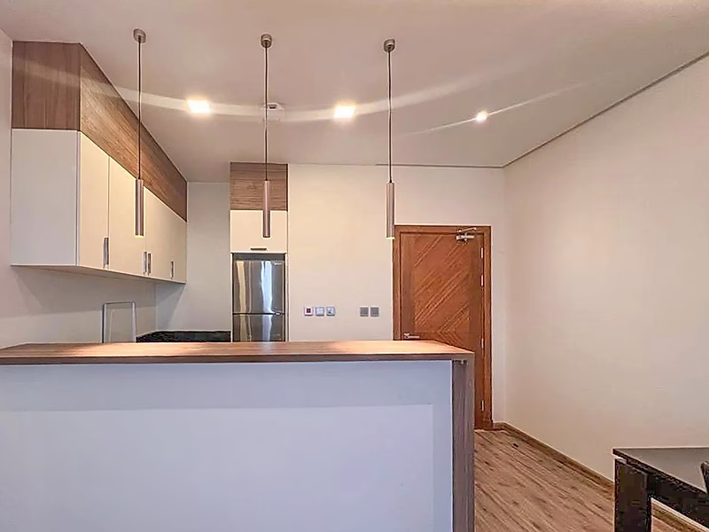 FULLY FURNISHED 1-BEDROOM | OLD AIRPORT - Photo 5